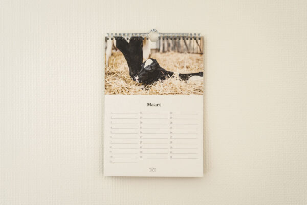 Verjaardagskalender koeien maart