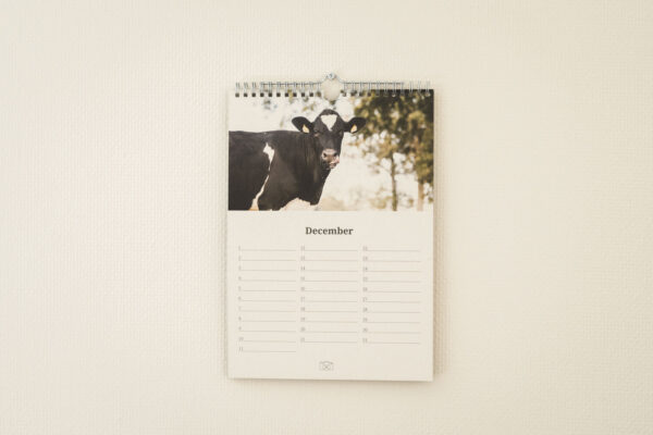 Achterhoekse koeienkalender